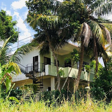 Rice Field View Home Stay Tangalle Eksteriør bilde